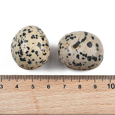Natural Dalmatian Beads G-G348-01B-48-1