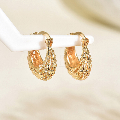 Brass Hollow Hoop Earrings NR0878-5-1
