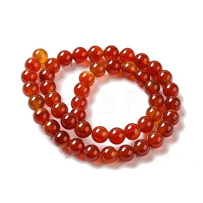 Natural Carnelian Beads Strands G-G390-8mm-03-1