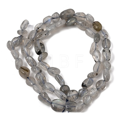 Natural Labradorite Nuggets Beads Strands G-J335-40-1