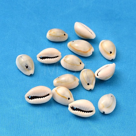 Natural Cowrie Shell Beads X-BSHE-S049-1
