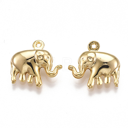 Brass Charms KK-T038-101G-1