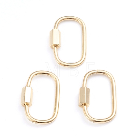 Brass Screw Carabiner Lock Charms X-ZIRC-I041-05G-1