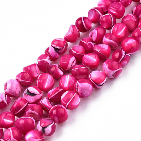 Natural Trochid Shell/Trochus Shell Beads Strands SSHEL-N032-48-A06-1