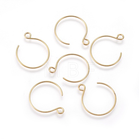 Ion Plating(IP) 304 Stainless Steel Earring Hooks STAS-O119-10G-A-1