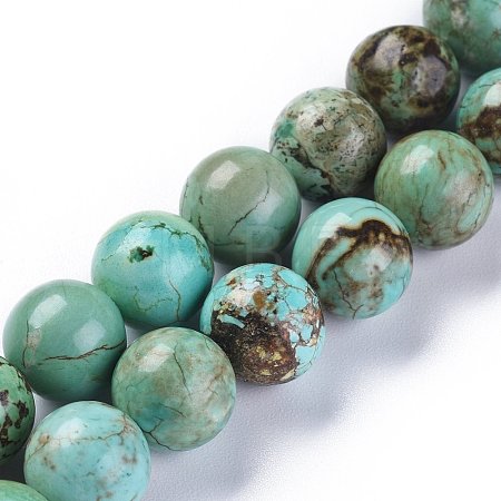 Natural Magnesite Beads Strands TURQ-F017-02-10mm-1