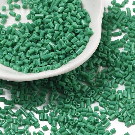 Two Cut Glass Seed Beads CSDB47-1