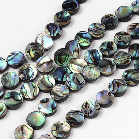 Natural Abalone Shell/Paua Shell Beads Strands SSHEL-G003-5-10x3mm-1