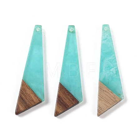 Resin & Wood Pendants WOOD-F015-15D-1