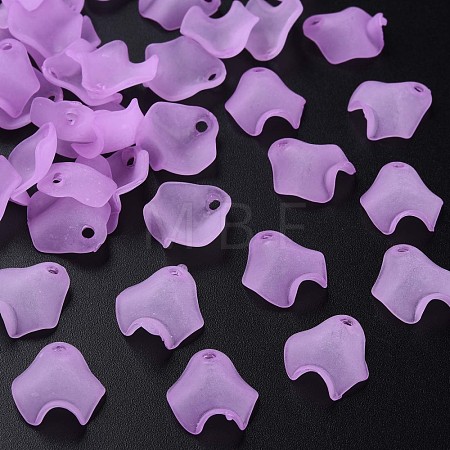 Transparent Acrylic Beads MACR-S373-106-D03-1