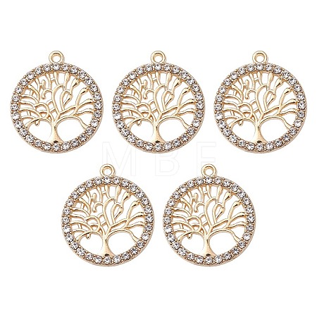 Alloy Crystal Rhinestone Pendants FIND-YW0003-63-1