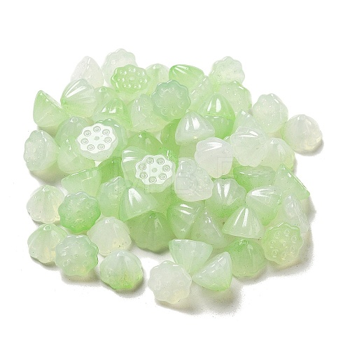 Two Tone Acrylic Beads OACR-H039-01F-1