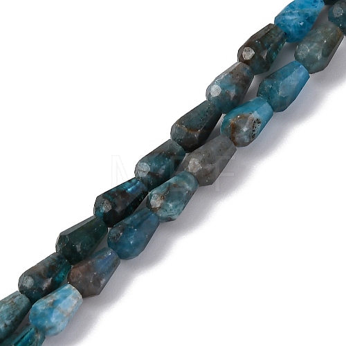 Natural Apatite Beads Strands G-C080-B06-01A-1