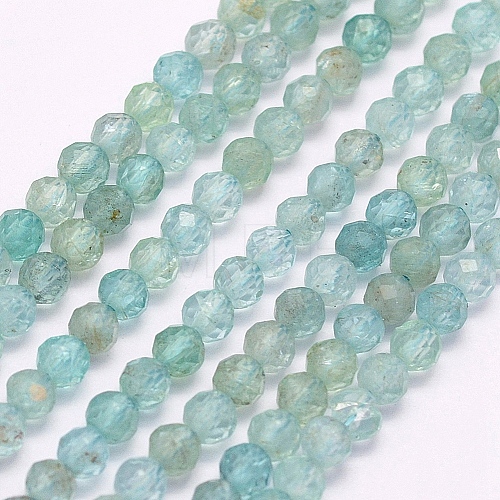 Natural Apatite Beads Strands G-I156-05-A-1