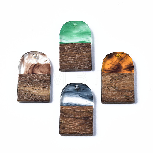 Transparent Resin & Walnut Wood Pendants RESI-T035-32-1