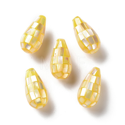 Natural Yellow Shell Beads SSHEL-B002-10A-03-1