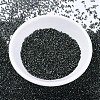 MIYUKI Delica Beads SEED-J020-DB0613-2