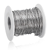 304 Stainless Steel Wires TWIR-WH0002-22B-1