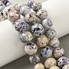 Natural Fossil Graduated Beads Strands G-F830-A03-01D-1