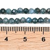 Natural Apatite Beads Strands G-P612-C-3mm-02-4