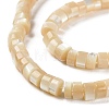 Natural Trochus Shell Beads Strands BSHE-E030-09B-02-3