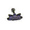 Flower Titanium Alloy Pave Cubic Zirconia Internally Threaded Labrets FS-WG35145-02-2