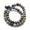 Natural Ocean Agate/Ocean Jasper Beads Strands G-G735-05-6mm-2