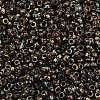 MIYUKI Round Rocailles Beads SEED-G010-RR4503-2