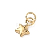304 Stainless Steel Charms STAS-B140-04G-2