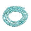 Natural Amazonite Beads Strands LS-G-P572-B04-A-3