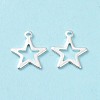 304 Stainless Steel Charms STAS-L234-095S-3