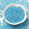 Transparent Glass Round Seed Beads SEED-B001-05A-19-2