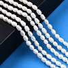 Natural Cultured Freshwater Pearl Beads Strands PEAR-N012-03E-2