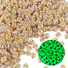 50G Luminous Transparent Acrylic Beads OACR-TAD0001-01Z-3