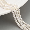 Natural Cultured Freshwater Pearl Beads Strands PEAR-C003-11D-2