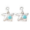 Alloy Enamel Pendants RB-CBAC8D9-05P-04-1