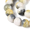 Opaque Ombre Effect Dyed Glass Beads Strands GLAA-Q106-04A-04-3