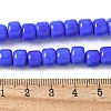 Handmade Lampwork Beads Strands LAMP-I030-02B-4