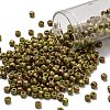TOHO 6/0 Round Beads X-SEED-TR06-1209-1
