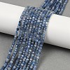 Natural Kyanite Beads Strands G-B088-E24-03A-1