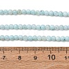 Dyed Natural Freshwater Shell Beads Strands SH-CBA2978-07A-01-4