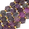 Natural Lepidolite/Purple Mica Stone Beads Strands G-F833-B03-01-2