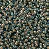 MIYUKI Round Rocailles Beads SEED-X0055-RR0351-2