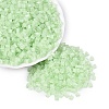 FGB Grade A Frosted Glass Seed Beads SEED-Q040-04A-03-2