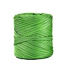 Polyester Ribbons OCOR-N011-01A-07-1