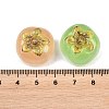 Transparent Resin Cabochons CRES-D329-05-3