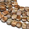 Natural Picture Jasper Beads Strands G-C285-A11-01-3