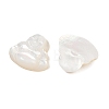 Natural White Shell Carved Cabochons SSHEL-B006-04-3