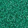 MIYUKI Round Rocailles Beads SEED-G009-RR0572-3