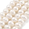 Natural Cultured Freshwater Pearl Beads Strands PEAR-C003-14E-1